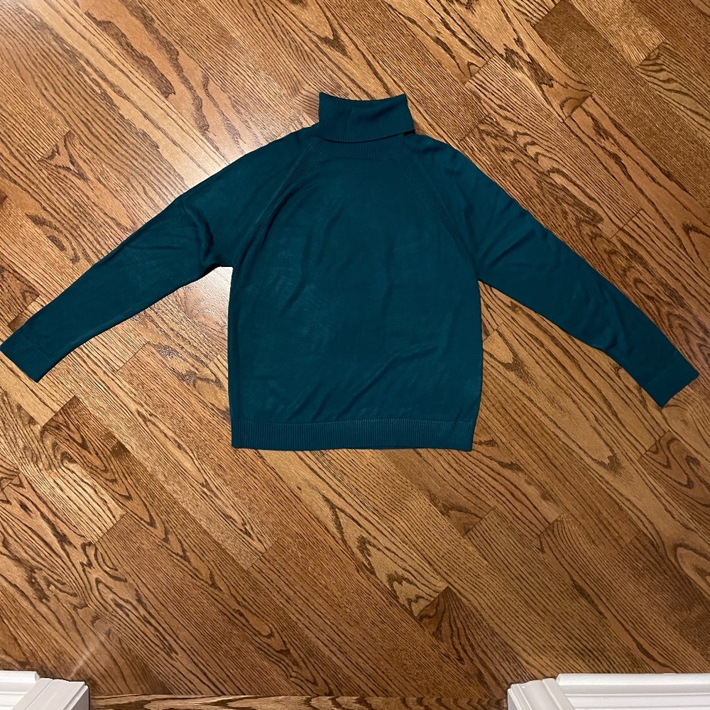BANANA REPUBLIC Turtle neck Teal Sweater